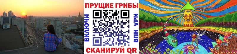 гидра как зайти  Тайшет  Псилоцибиновые грибы Psilocybine cubensis 